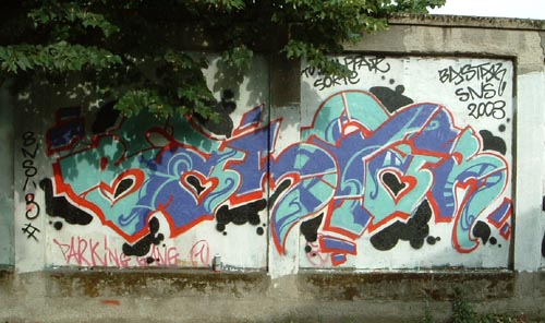 BASTAR SNS